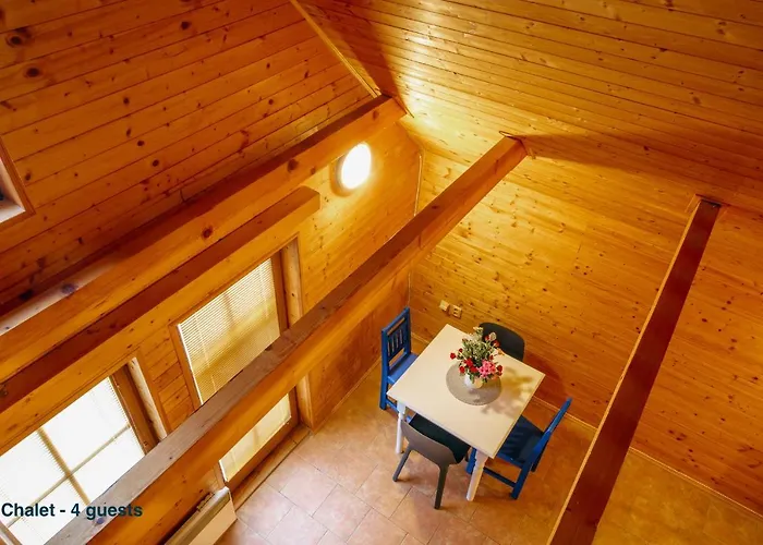 & - Base Camp Medvedin