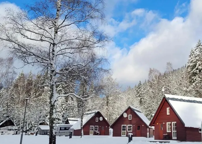 & - Base Camp Medvedin